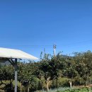 억불산민박 이미지