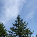 큰재 주차장 이미지