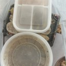 수원-0770 | 안주일체 수원인계점 내돈내산 오징어김치전 묵사발 솔직한 배달 이용 후기