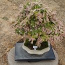 거시기농원 이미지