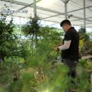 부자농장(정읍) 이미지