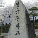 장유중학교 벚꽃과 전경 2013.03.31 이미지