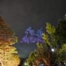 북난타(야간) | 경주 신라문화제 2탄, 야경 속 실크로드 월드페스티벌 &amp; 월정교 불꽃놀이까지