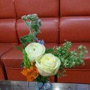 금왕한의원 이미지