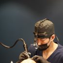 모텐셜의원 이미지