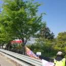 평택시, 상업용 불법 현수막 강력 단속 - 대통령선거 맞아 불법 광고물 집중 정비 - 이미지