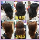 머릿결사랑염색방