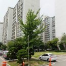 군포양정초등학교 이미지