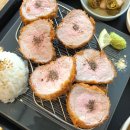 카츠 디나인(카츠 D9) 이미지