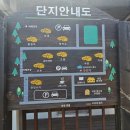 휴 펜션 해양 | 대전근교가볼만한곳 서천 장항 휴리조트팬션숙박 후기 송림산림욕장 맥문동꽃 보라색의 향연 현재 꽃...