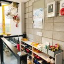 개날라리 이미지