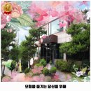 대진고등학교.하계우방아파트 버스정류장(11424) | 하계2동 맛집 해품장팔팔장어 본점 후기 좋았던 곳 위치 가격 리뷰 알아보자