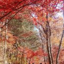세무사김태훈사무소 이미지