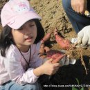 내방농장 이미지