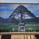 속리산 휴양센터 이미지