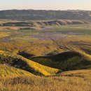 2026.3.14 Carrizo Plain National Monument 이미지