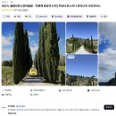 카페토스카나 | [이탈리아 여행] Day10 토스카나 와이너리 투어 후기 | 로마 출발 - 피렌체 도착 샌딩 투어