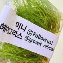 미니헤어 - 포항시 남구 정몽주로 607-1 | 미니헤어