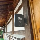 국화애견하우스 | 겨울 애견동반 숙소 추천 호텔어라이브 태안 탼 한옥 비치 리조트 댕댕1 후기