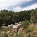 슬기로운 초록생활 이미지