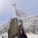 후드롱골 이미지