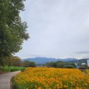 임초2리 마을회관 이미지