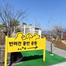 남한강휴게주유소 로봇커피 | 양평 애견 동반 가능한 남한강 휴게소 방문 후기💛