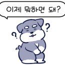도미노피자전주 이미지