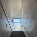 강서체육관 태권도 태극민턴 | 또가고 싶은 부산강서구애견카페 후기