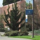 ELS어학원 이미지