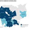 현대부화장 이미지