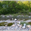 곰소그린 이미지