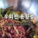 우회전용황점
