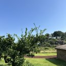 평대로움 이미지