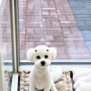 오늘도 너에개 이미지