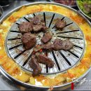 마포갈매기 이미지