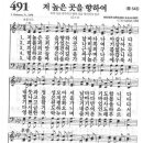 콘티