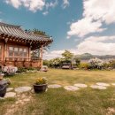 욜로한옥민박 이미지