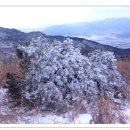 동면