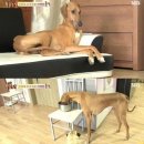 김명석농장 이미지