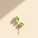 마음수련 이미지