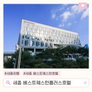 세븐일레븐 분당도서관점 | 세종 베스트웨스턴호텔 스탠다드 트윈룸 조식 후기