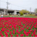 낙동강관리본부 화명생태공원 10 이미지