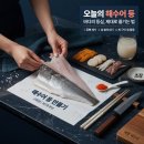 산호 | 등 바꾸고 산호 색 살아난 후기가 많은 이유