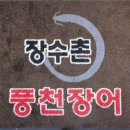 풍천장어 이미지