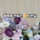 이레플라워 이미지