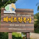 두건목장 이미지