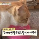 승환농장 이미지