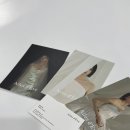 wedding 엘데브 (Ailes d'Ève) 웨딩드레스 피팅후기