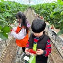 브래뉴농장 이미지